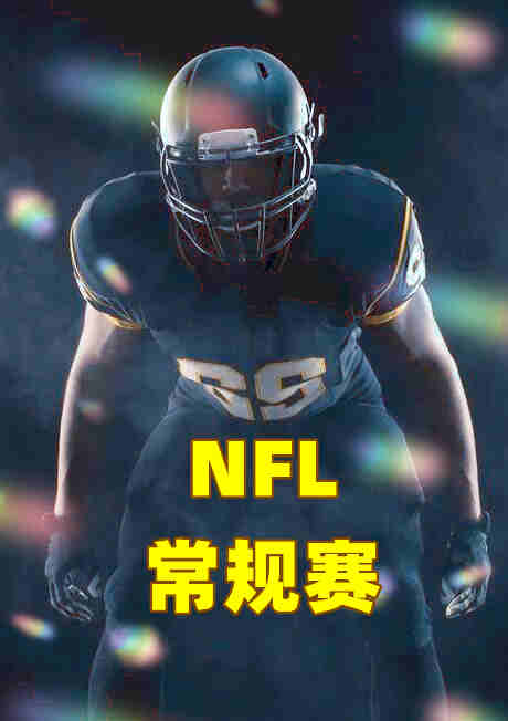 NFL常规赛-爱国者vs喷气机-20221031